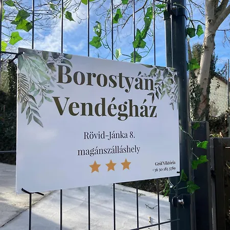 Borostyan Vendeghaz- Feriehus Zalaegerszeg
